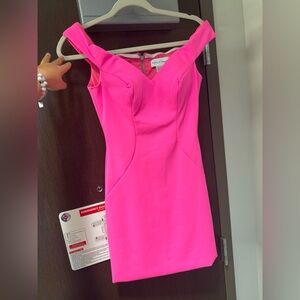 Ashely Lauren Dress